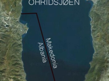 Lake Ohrid. (Photo: Google Maps) Lake Ohrid. (Photo: Google Maps)