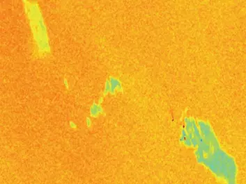 A satellite-radar image taken during a clean-up drill in the North Sea. A slick of vegetable oil on the upper left, an emulsion of water and oil in the middle and a messy patch of mineral oil on the bottom right. Note the three small red dots, which are ships with their trailing wakes. (Photo: RADARSAT-2 Data and Products © MacDONALD, DETTWILER AND ASSOCIATES LTD. (2011) - All Rights Reserved. The image was delivered by KSAT, Tromsø)