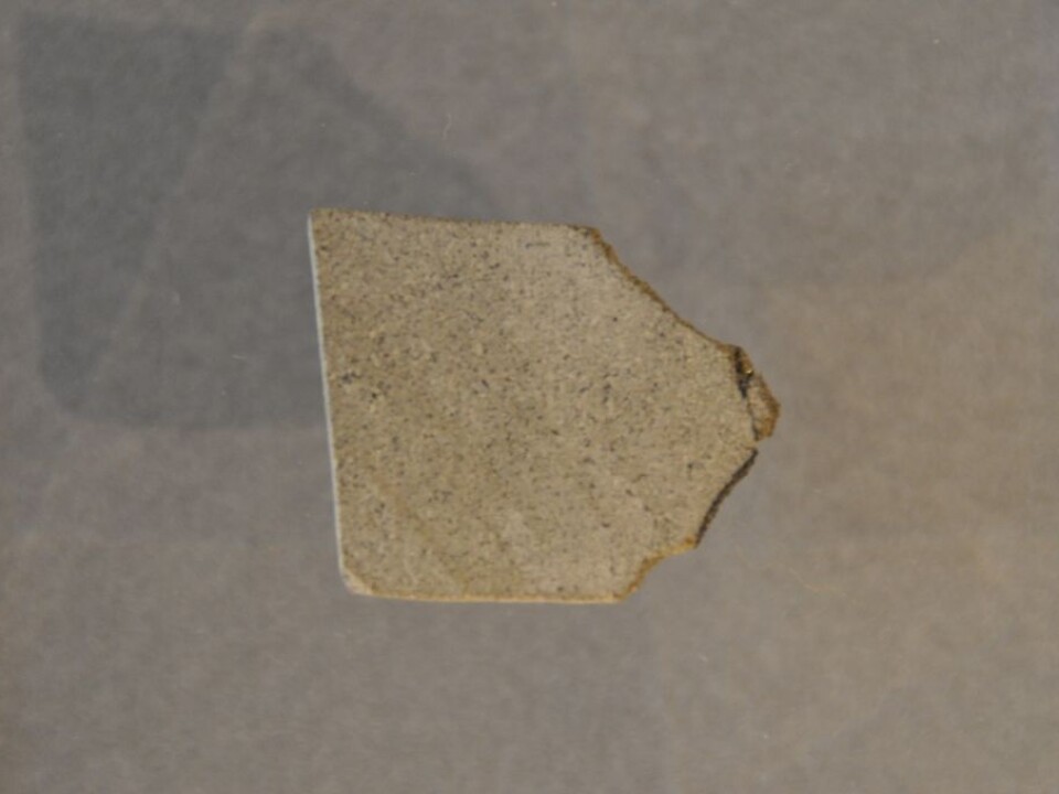 Shergottite at the Natural History Museum. (Photo: Rune Selbekk, NHM)
