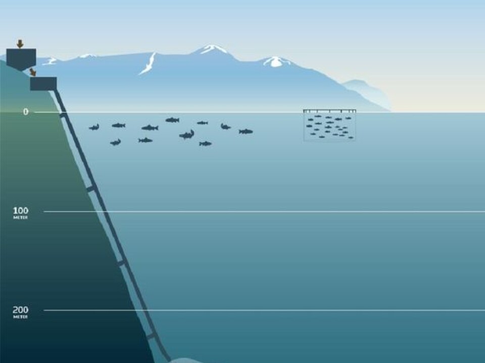 Deep submarine tailings placement in a Norwegian Fjord. (Illustration: Nordic Mining)