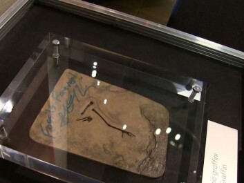 Qiliania graffini, the fossil bird named for Greg Graffin of Bad Religion, and also signed by him. (Photo: Lasse Biørnstad) Qiliania graffini, the fossil bird named for Greg Graffin of Bad Religion, and also signed by him. (Photo: Lasse Biørnstad)