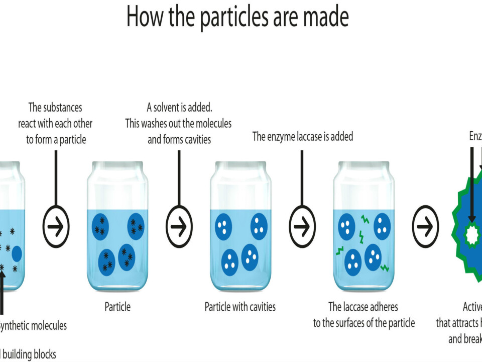 Capturing hormone mimics with particles