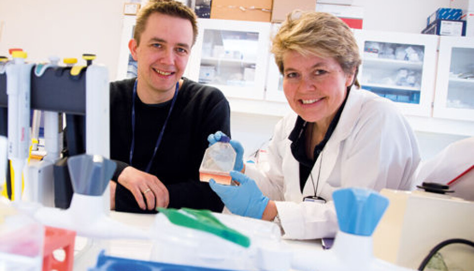 Researchers Arne Yndestad and Bente Halvorsen. (Photo: Yngve Vogt)