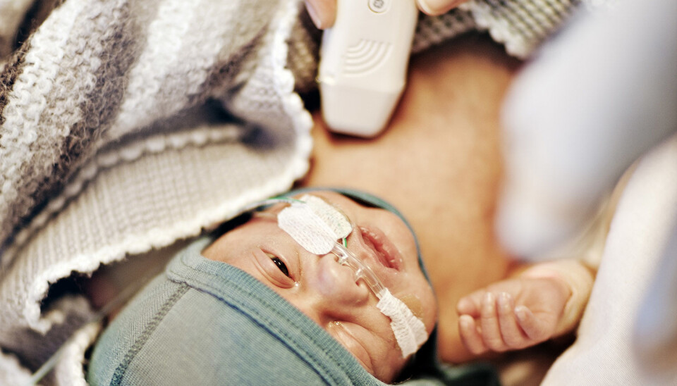 The new ultrasound technology can be decisive when it comes to newborns with heart problems. (Photo: Geir Mogen/NTNU)