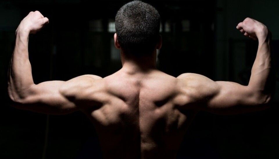 Men in treatment for drug addiction use anabolic-androgenic steroids to present themselves as healthy and sober. (Photo: Microstock)