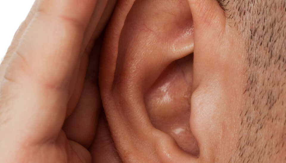 Normal hearing depends on the presence of healthy hair cells in the inner ear. (Photo: Colourbox)