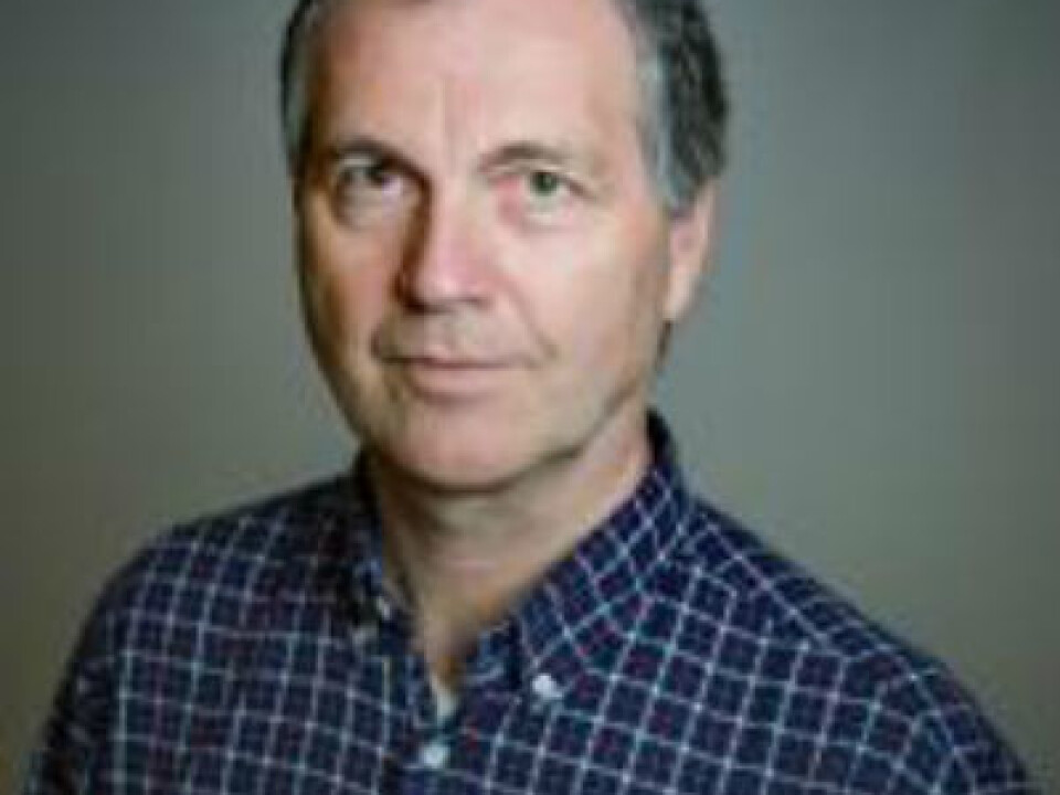 Professor Rolv Terje Lie, Head of the Department of Global Public Health and Primary Care, University of Bergen. (Photo: Eivind Senneset, University of Bergen)