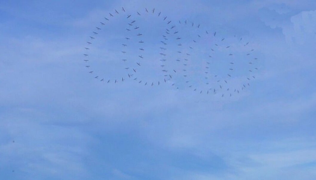 A time-lapse photo of a spiralling kite producing energy at Lista Airport. (Graphics: Kitemill) A time-lapse photo of a spiralling kite producing energy at Lista Airport. (Graphics: Kitemill)
