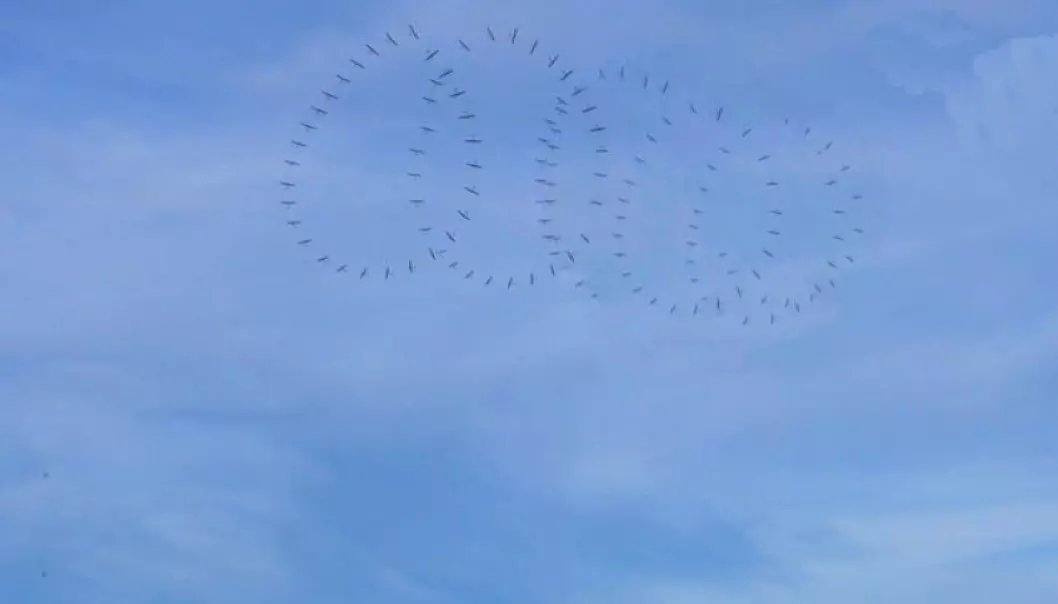 A time-lapse photo of a spiralling kite producing energy at Lista Airport. (Graphics: Kitemill)