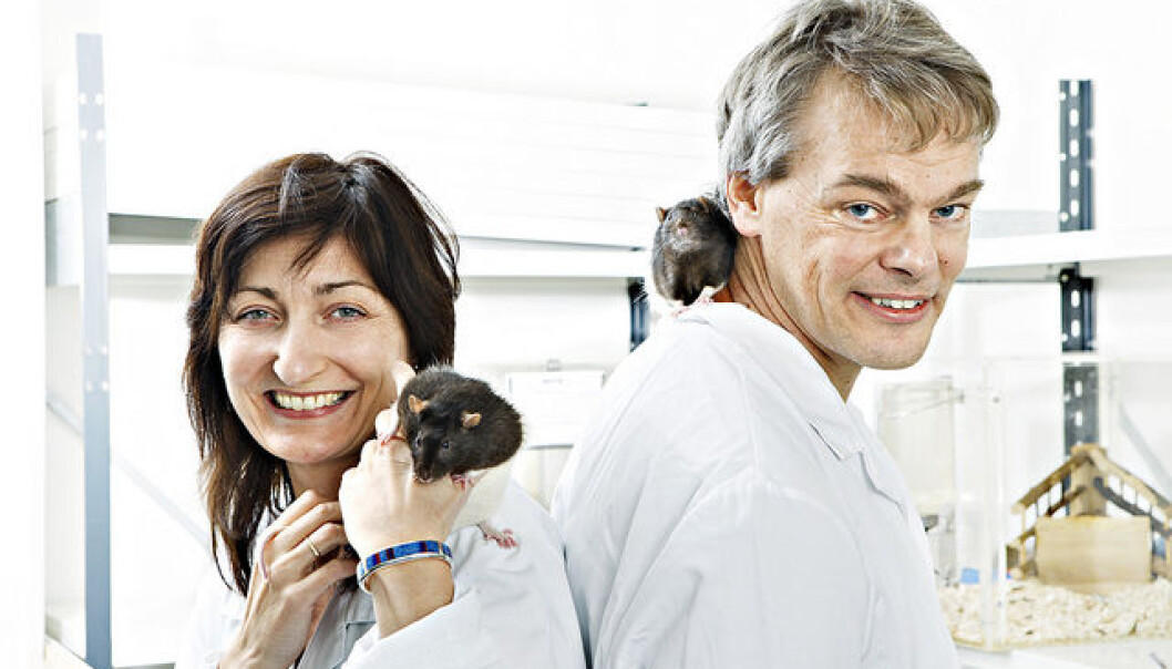 May-Britt Moser and Edvard Moser are lead the top-notch research institutions in Norway, which get more published in Nature and Science than anyone else in the country. (Photo: Geir Mogen, NTNU) May-Britt Moser and Edvard Moser are lead the top-notch research institutions in Norway, which get more published in Nature and Science than anyone else in the country. (Photo: Geir Mogen, NTNU)