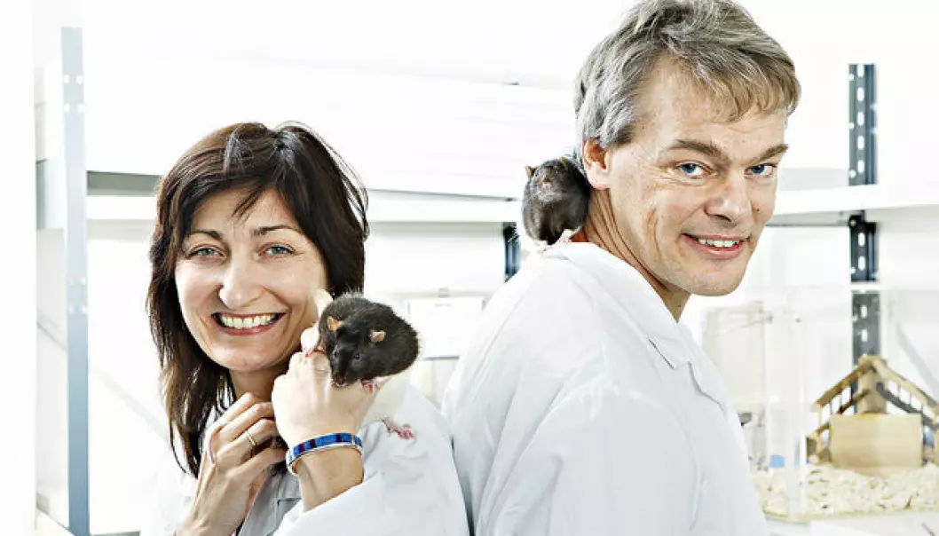 May-Britt Moser and Edvard Moser are lead the top-notch research institutions in Norway, which get more published in Nature and Science than anyone else in the country. (Photo: Geir Mogen, NTNU)
