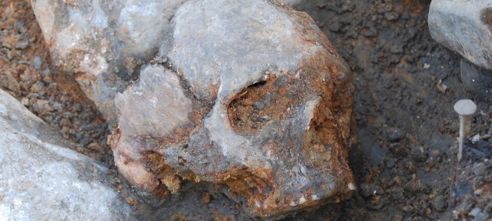 DNA study uncovers ancient ancestor of Europeans