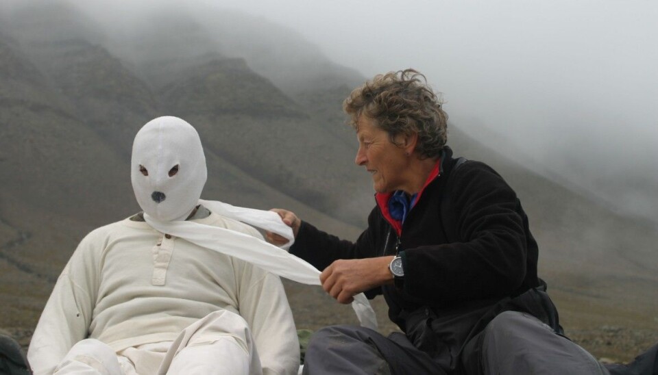 One of the scientists behind the study being dressed up as a polar bear. (Photo: M. Kardel)