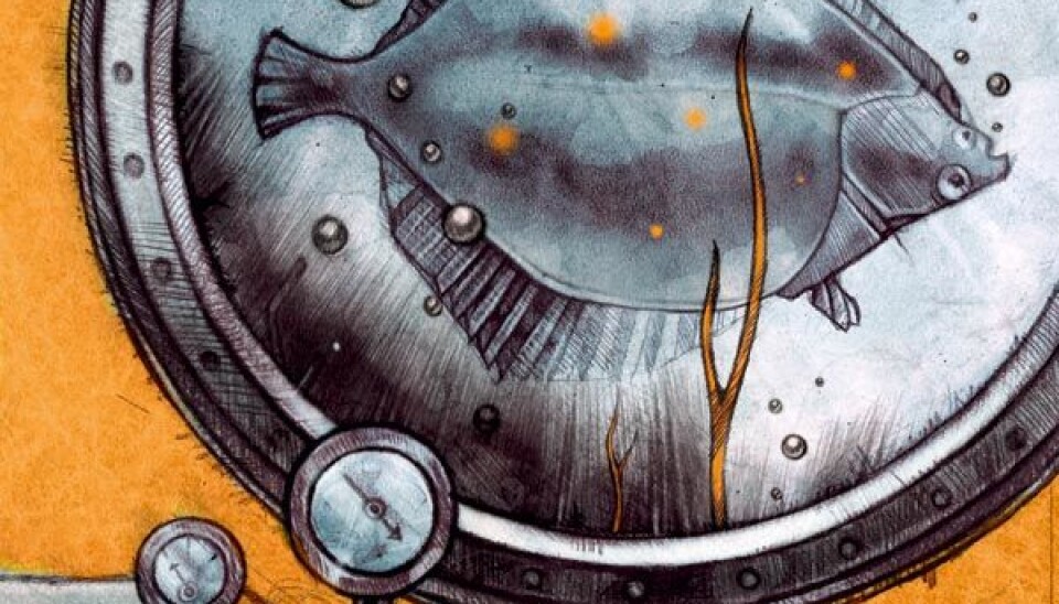 (Illustration: Line Halsnes)