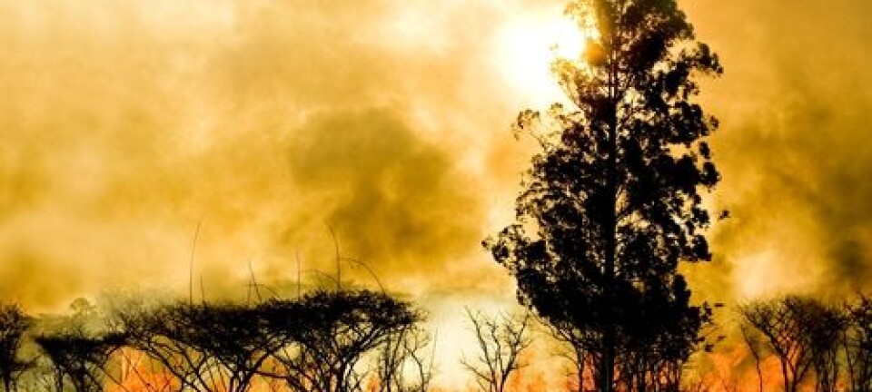 American forest fires are melting the ice on Greenland