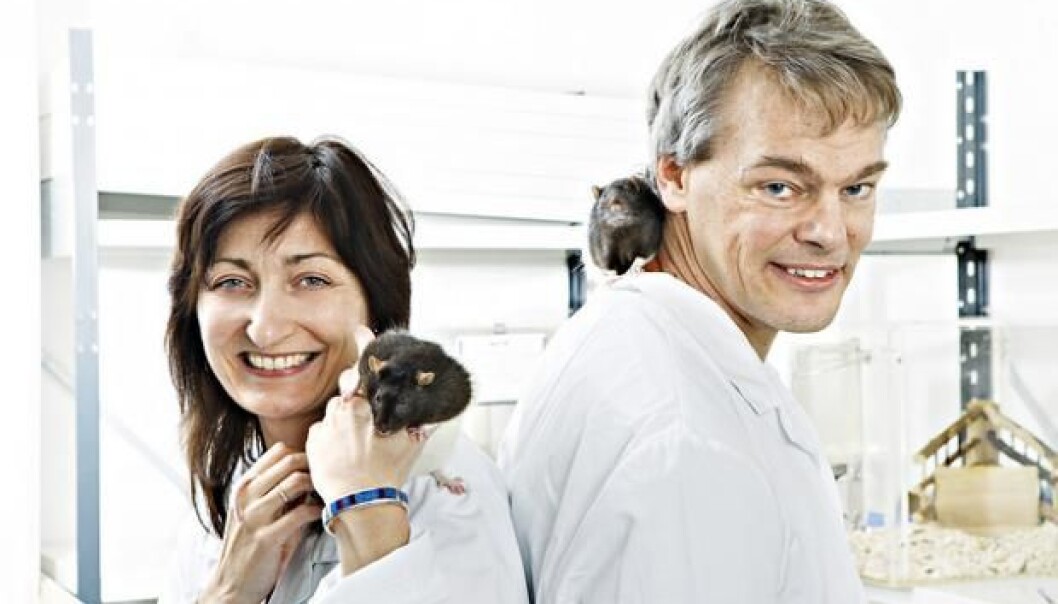 May-Britt Moser and Edvard Moser (Foto: NTNU) May-Britt Moser and Edvard Moser (Foto: NTNU)