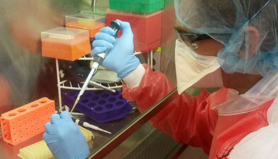 “Several strains of the bacteria the we use are dangerous, while others are less so,” Egil Lien, medical professor at the CEMIR Centre of Excellence explains. “We work with the most dangerous bacteria in a class 3 biosafety lab, and then we have to use personal safety gear like in this picture.” (Photo: NTNU)