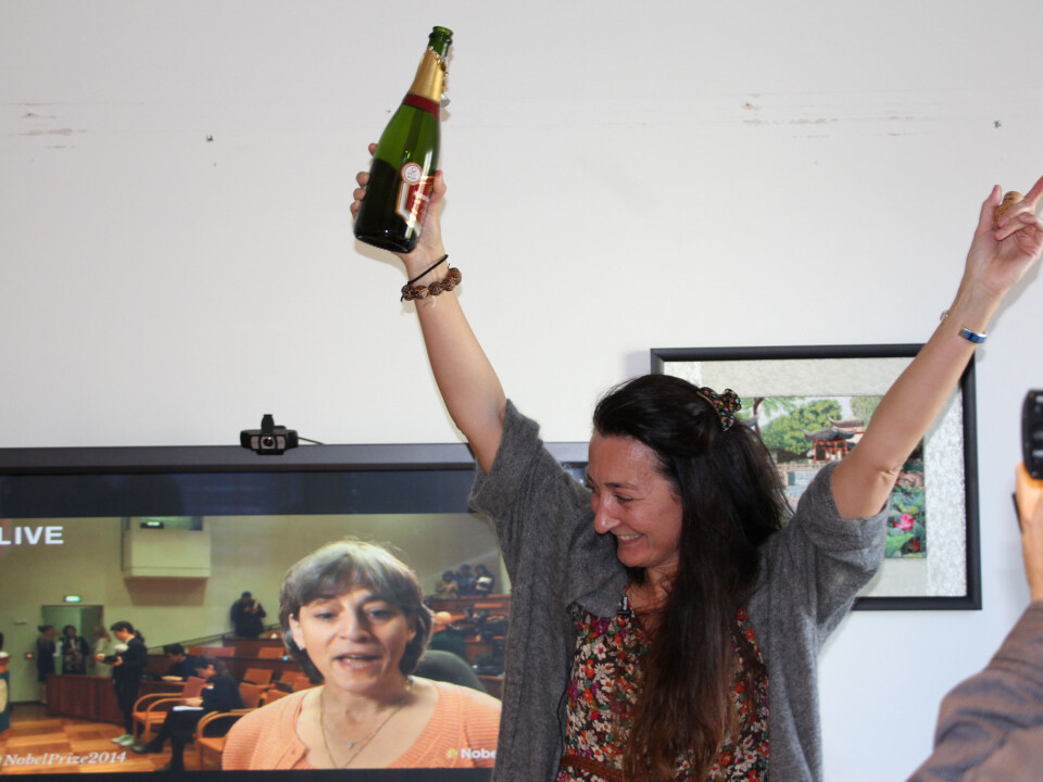 May-Britt Moser, newly named a Nobel laureate, celebrates after the prize is announced. Juleen Zierath, chairman of the Nobel Committee for Physiology or Medicine, discusses the award on the TV behind May-Britt. (Photo: Nancy Bazilchuk, NTNU)