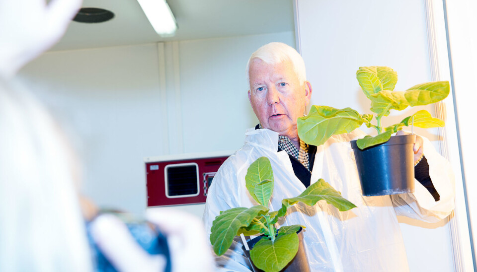 Professor Arntzen visited Norway last week. (Photo: Siri Elise Dybdal)