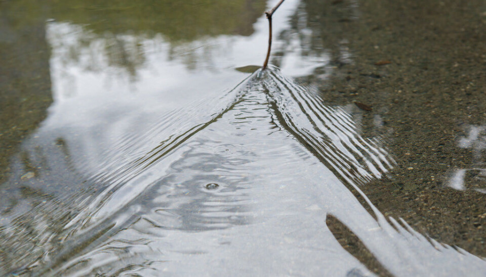 The Kelvin angle (Photo: Øyvind Buljo, NTNU)