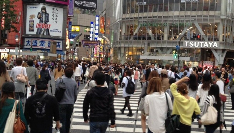 The vast majority of the 135 Norwegian students who went to Japan in 2013, studied language or culture. (Photo: SiU)