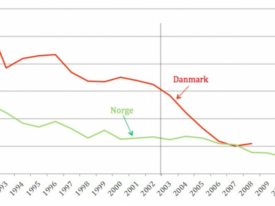 The curve shoes the percentage of 21-year-old women with backgrounds in countries outside Europe who have wed in Norway and Denmark. The vertical line at the year 2002 marks the initiation of the Danish law denying residence permits on the grounds of marriage to persons under the age of 24.  (Table: Norwegian Institute for Social Research)