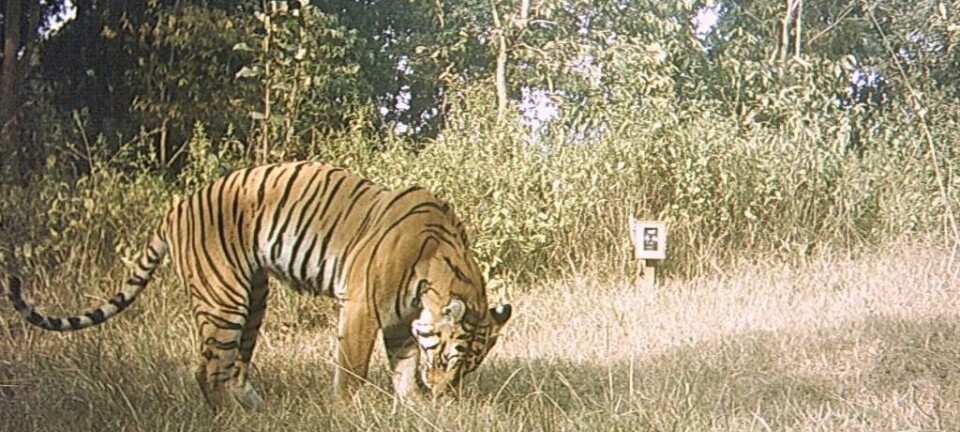 Data sharing improves decision making