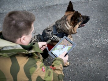 Training materials can be carried into the field on tablets and mobile phones. A dog trainer in the Home Guard uses an app developed by in the new project from FFI. (Photo: FFI) Training materials can be carried into the field on tablets and mobile phones. A dog trainer in the Home Guard uses an app developed by in the new project from FFI. (Photo: FFI)