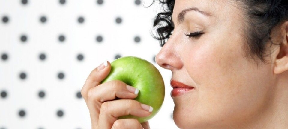 How the brain connects words and smells