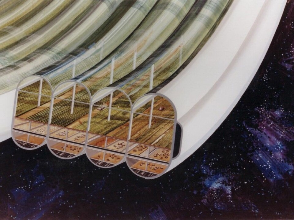 A cross section of agricultural rings in an artist’s conception of a space ship. If you can see the farming hardware you get the idea of the grand scale (Image: NASA Ames Research Center)
