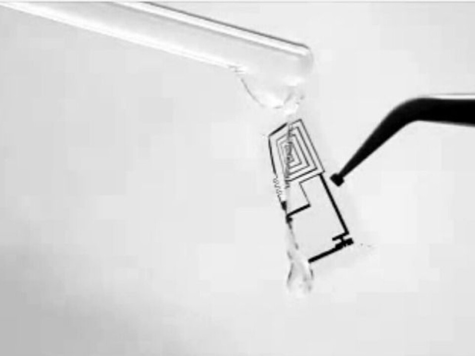 At only a few nanometres in thickness, the circuits are extremely thin, which enables them to dissolve effectively. Some of the circuit components are made of magnesium, others of silicon, and others of silicon with a magnesium additive. (The photo is taken from a video made about the project)