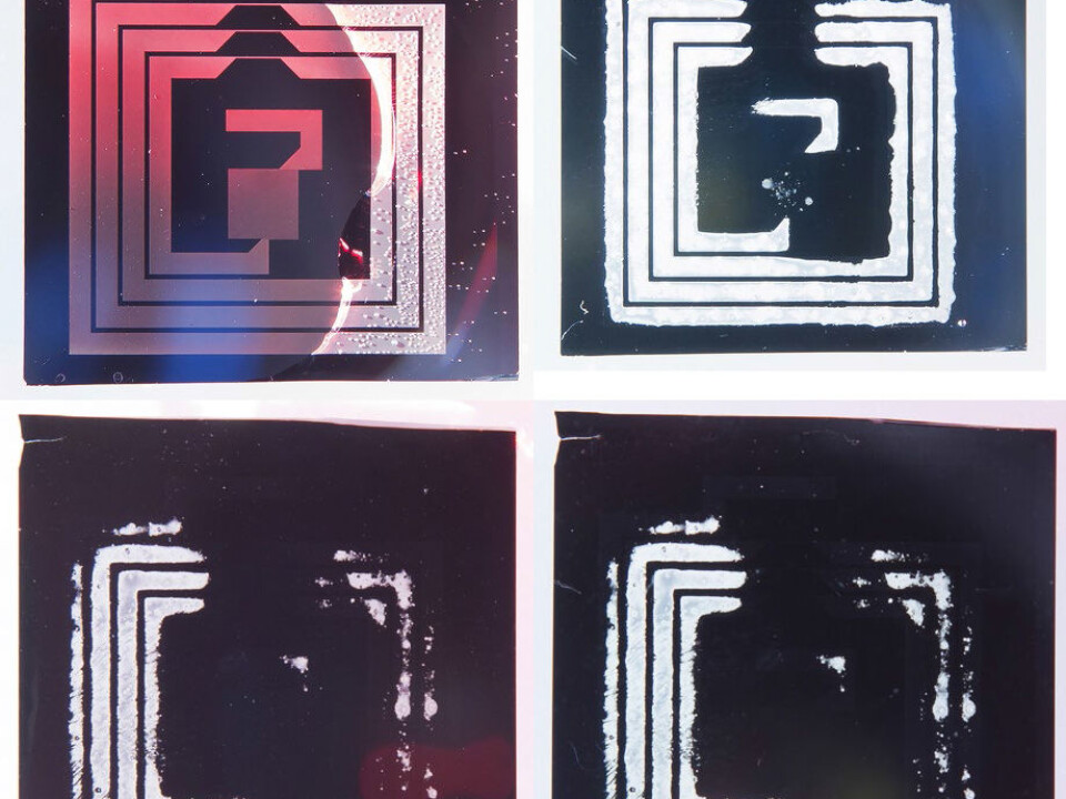 Electronic circuits can be implanted into surgical wounds and assist the healing process by accelerating wound closure. After a few weeks, the electronics are dissolved by the body fluids, making it unnecessary to re-open the wound to remove them manually. (Photos: Werner Juvik/SINTEF)