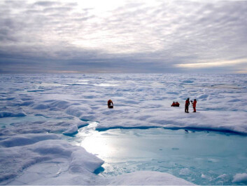 Investigating chemical fingerprints in Arctic sea ice. (Photo: Thomas A. Brown and Simon T. Belt) Investigating chemical fingerprints in Arctic sea ice. (Photo: Thomas A. Brown and Simon T. Belt)