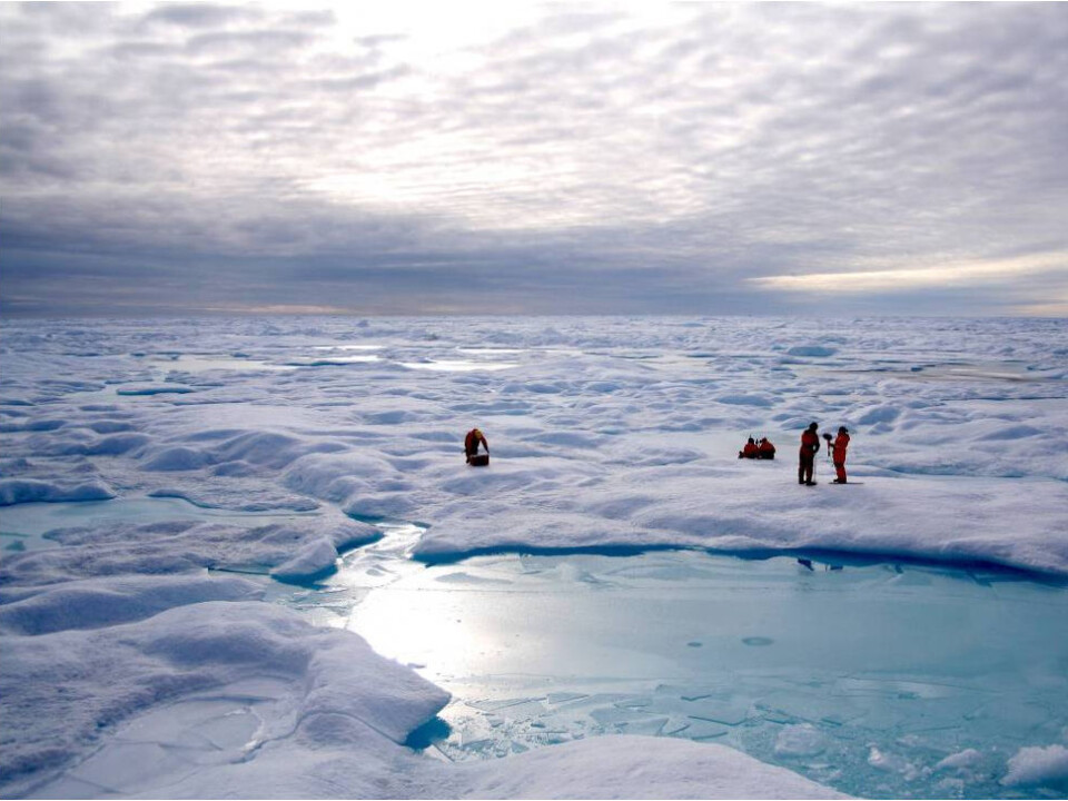 Investigating chemical fingerprints in Arctic sea ice. (Photo: Thomas A. Brown and Simon T. Belt)