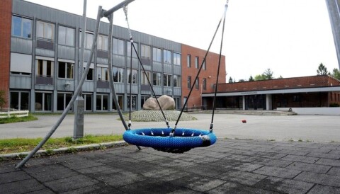 Children Want Challenging Playgrounds