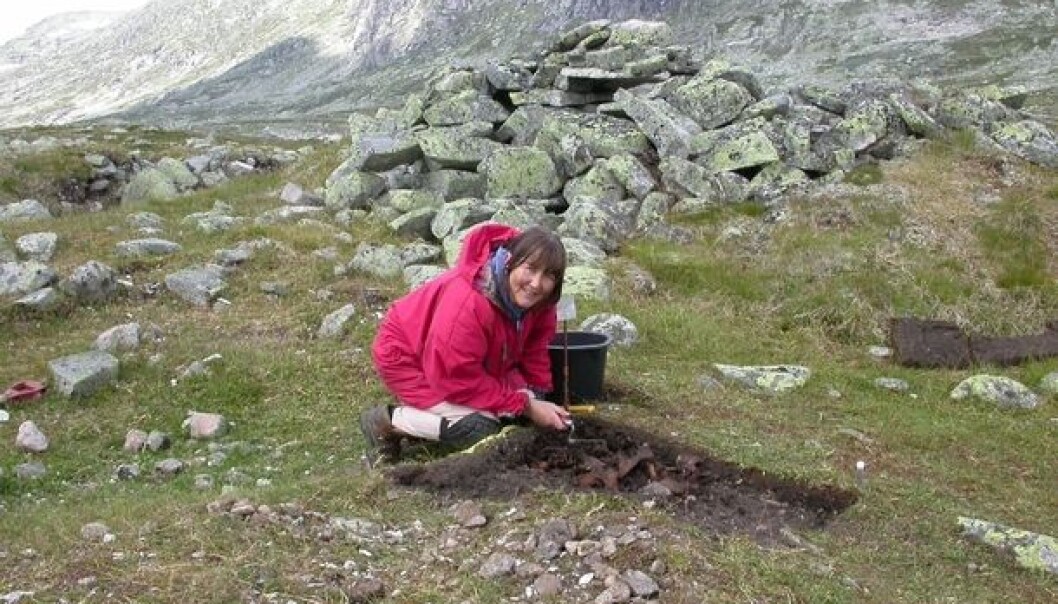 Osteologist Anne Karin Hufthammer, who has analysed the bone material, digs in the refuse heap at Sumtangen. (Photo: S. Indrelid, University Museum of Bergen) Osteologist Anne Karin Hufthammer, who has analysed the bone material, digs in the refuse heap at Sumtangen. (Photo: S. Indrelid, University Museum of Bergen)