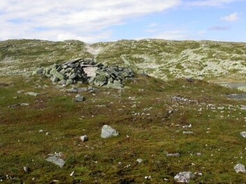 Ruins of one of the stone huts at Sumtangen. The soil underneath the shallow turf is densely packed with reindeer bones to a depth of half a metre. (Photo: S. Indrelid, University Museum of Bergen) Ruins of one of the stone huts at Sumtangen. The soil underneath the shallow turf is densely packed with reindeer bones to a depth of half a metre. (Photo: S. Indrelid, University Museum of Bergen)