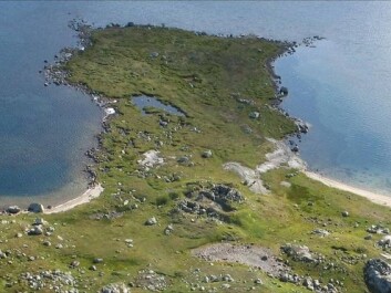 The Sumtangen spit with the ruins of stone buildings from the 1200s. Nearly 50 cubic metres of reindeer bones lie under the green grass turf in the vicinity. The animals were herded into the lake here. (Photo: S. Indrelid, University Musuem of Bergen) The Sumtangen spit with the ruins of stone buildings from the 1200s. Nearly 50 cubic metres of reindeer bones lie under the green grass turf in the vicinity. The animals were herded into the lake here. (Photo: S. Indrelid, University Musuem of Bergen)