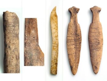 Bones with runic inscriptions, found in the rubbish heaps at Sumtangen. (Photo: S. Skare, University Museum of Bergen) Bones with runic inscriptions, found in the rubbish heaps at Sumtangen. (Photo: S. Skare, University Museum of Bergen)