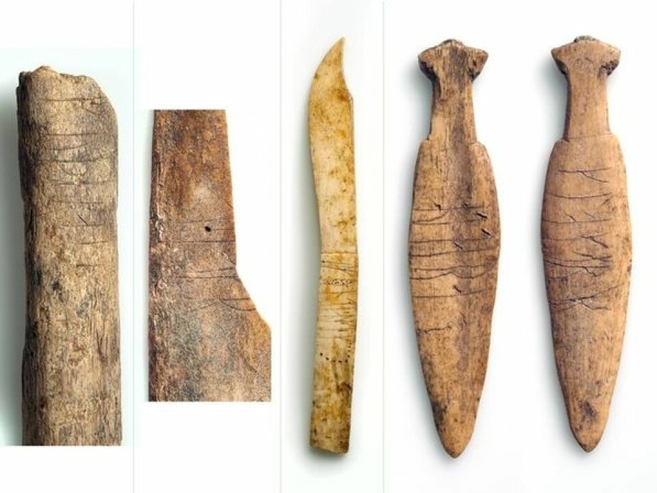 Bones with runic inscriptions, found in the rubbish heaps at Sumtangen. (Photo: S. Skare, University Museum of Bergen)