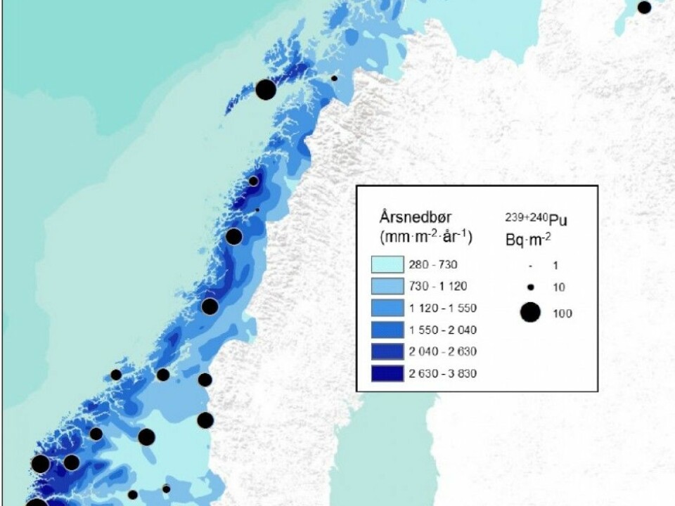 A map of Norway that shows the findings from soil samples. The black circles indicate radioactivity in Becquerels (Bq), with the largest along the west coast. Nevertheless, the radioactivity is very slight compared to the emissions from the Chernobyl catastrophe, for example. The blue fields indicate average amounts of annual precipitation. (Photo: Cato Wendel)