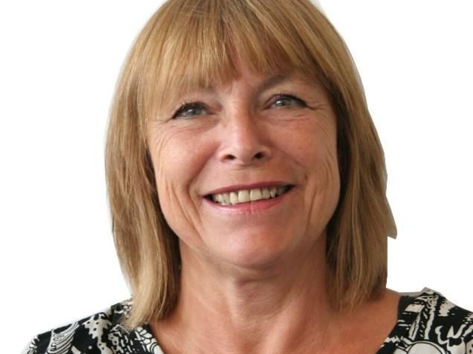 Liv Anne Støren. (Photo: NIFU)