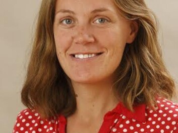 Birgitta Thorslund. (Photo: VTI) Birgitta Thorslund. (Photo: VTI)