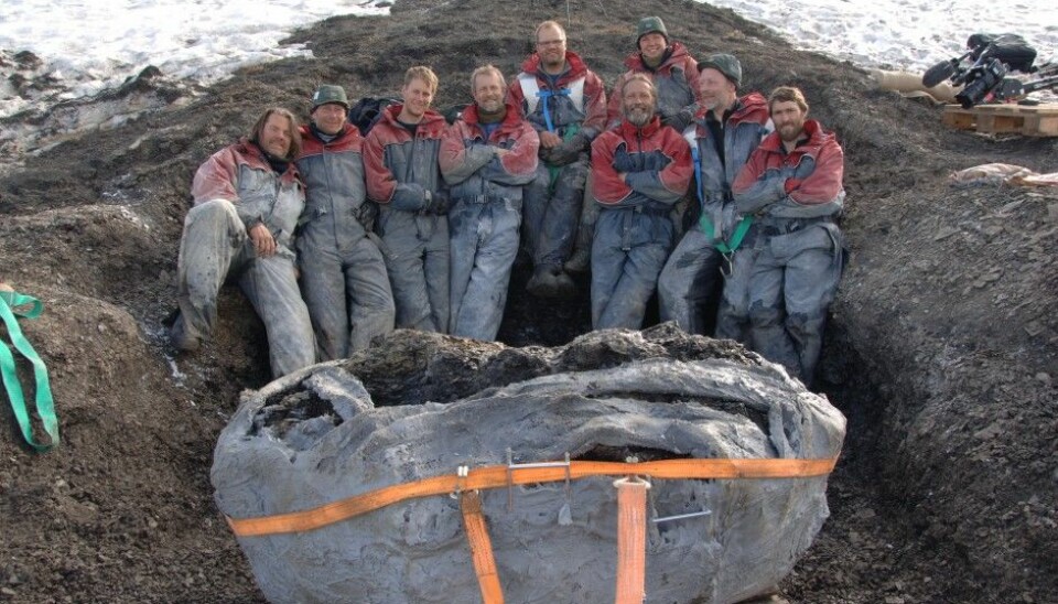 Forty tonnes of material were excavated by hand for each excavation. Both students and volunteers assisted in the pursuit of the sea monsters from the age of dinosaurs. (Photo: Jørn Hurum / NHM / University of Oslo)