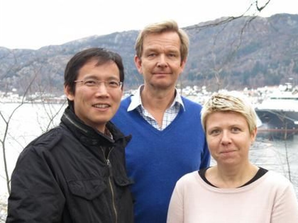 SISQUONOR project leaders, from the left: Junyong You (CMR), Øivind Strand (IMR) and Aline Gangnery (IFREMER). (Photo: Marie Hauge)