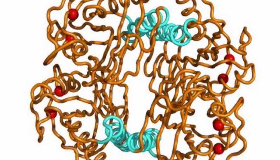 The findings have implications for the manipulation of proteins, with potential applications in biotechnology and drug development. (Photo: Screen dump from Vimeo)