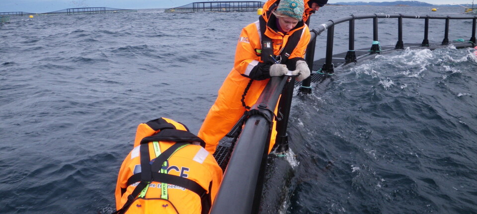 Tailor-made for the aquaculture sector