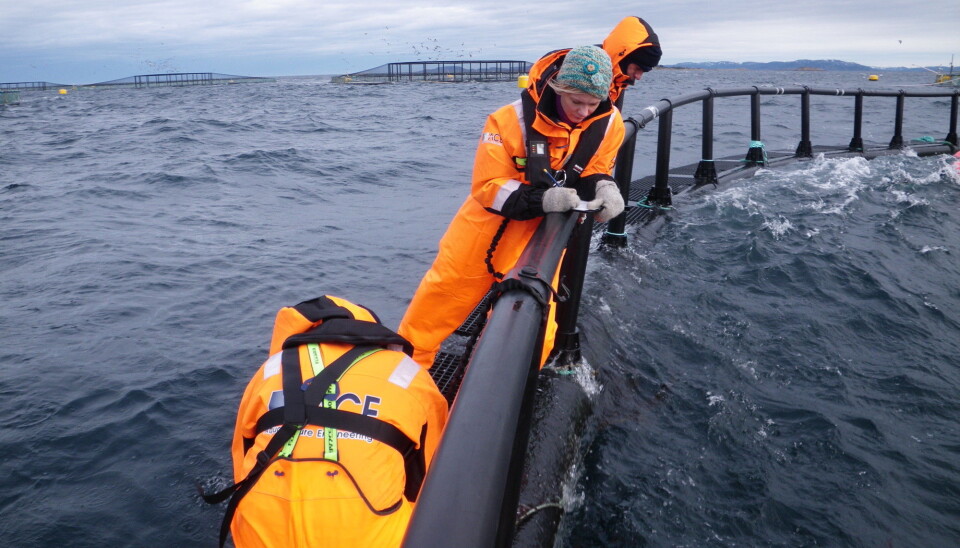 There have been situations where workers have fallen into the sea. (Photo: SINTEF Health Research)