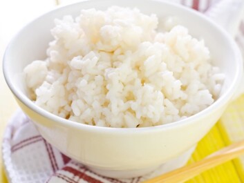 Most of us think that cooked food is safe. But endospore bacteria can survive high temperatures in pasta and rice. (Photo: Colourbox) Most of us think that cooked food is safe. But endospore bacteria can survive high temperatures in pasta and rice. (Photo: Colourbox)