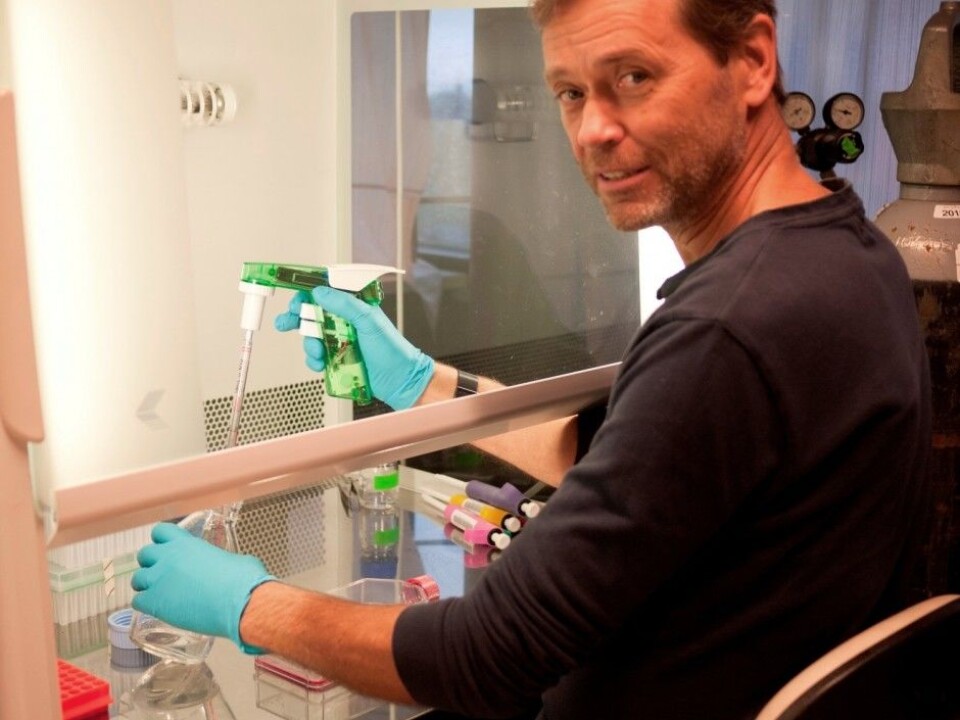 Professor Jan Øivind Moskaug works to ensure that our fat will benefit us in the future. (Photo: Guro Flinterud)